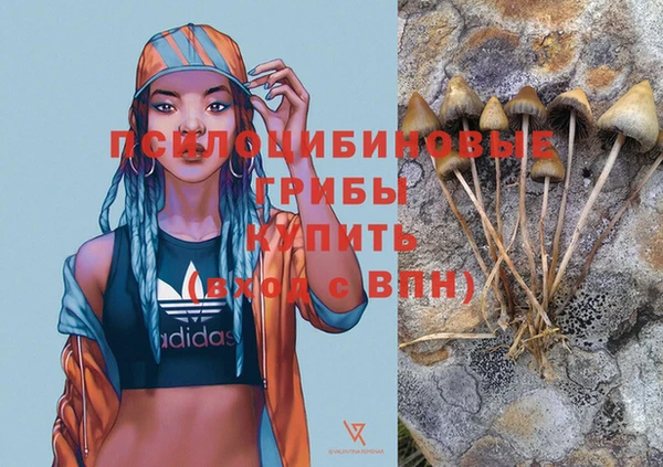 первитин Верхний Тагил